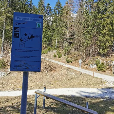 Alpine Luck Apartment,