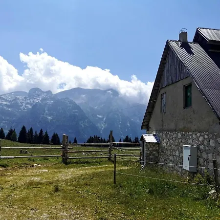 Alpine Luck Apartment, Lägenhet *
