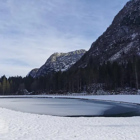 Апартаменты Alpine Luck Apartment,